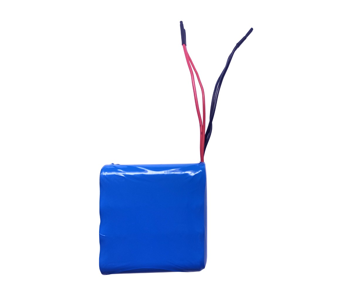 Electronic scale lithium battery pack